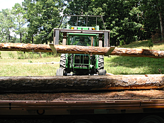 logs for hewing