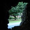 Spieler's house, as seen looking thru the  hole in Bob Hansen's Ash. Or is it a Boxelder?